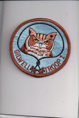 Owl gilwell troop - wb-35,