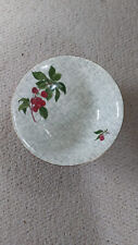 RARE ALFRED MEAKIN china RED