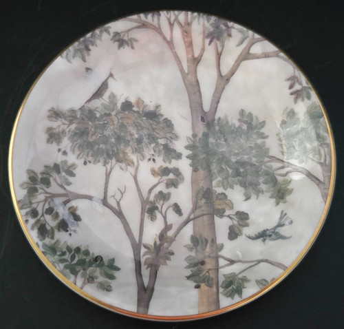 Kit kemp spode - kit, tall