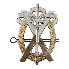 Tayworth cap badge