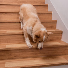 Spurtar Non-Slip Stair Treads