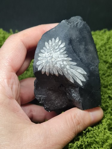 Rough chrysanthemum stone - chrysanthemum,