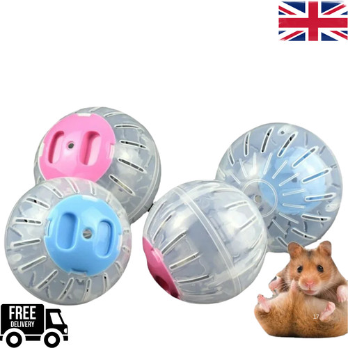 Hamster running ball plastic - hamster,