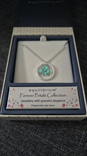 Equilibrium forget not - forget, me