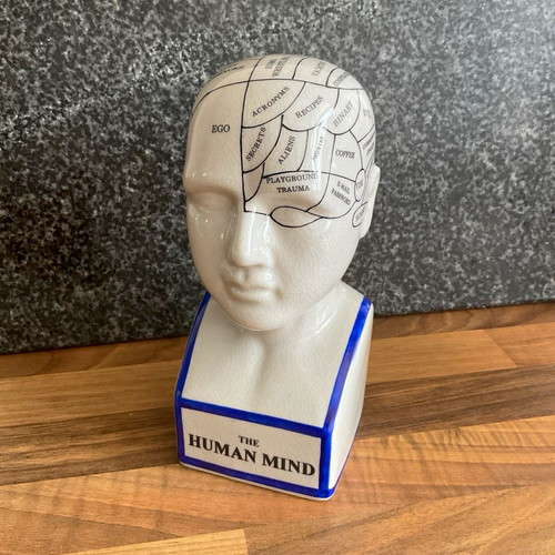 Ceramic phrenology head bust - phrenology,