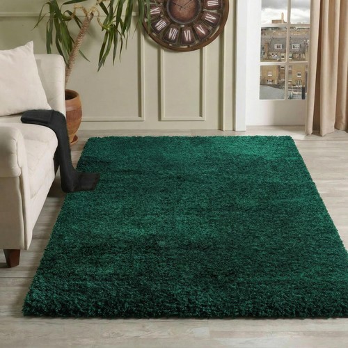 Living room soft - shaggy, rugs