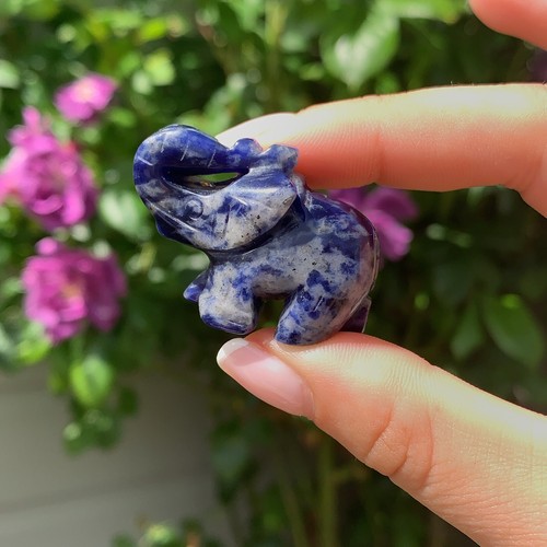 Sodalite crystal elephant - sodalite,