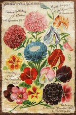Pretty Floral Garden Seed