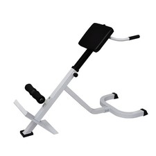 Back Extension Trainer Bench