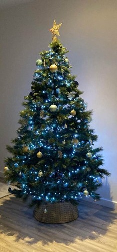 7ft aspen pine - 7ft,