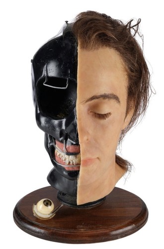 Animatronic special effects - animatronic,