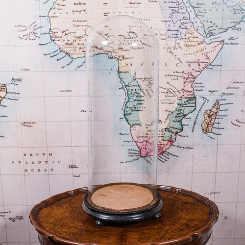 Tall antique display dome - tall,