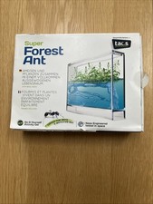 Super forest ant - super, activity