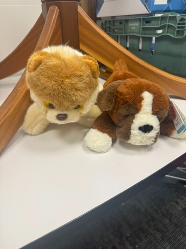 Two dog teddy bears - dog, –