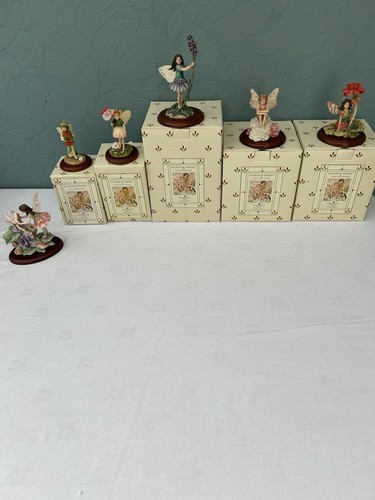 Flower fairies cicely - fairies,