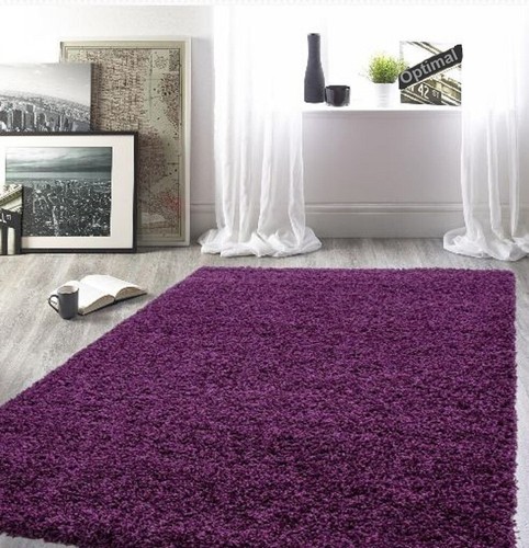 Living room thick large shaggy - room,