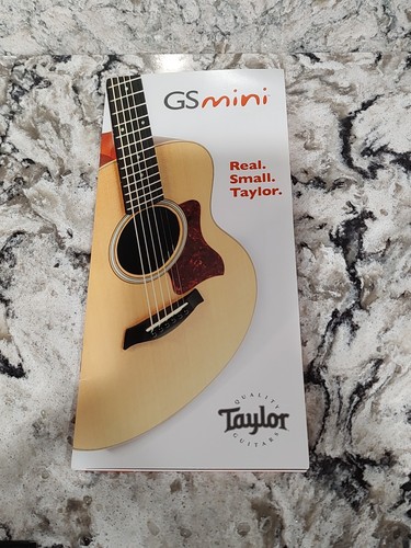 Taylor mini acoustic - taylor, gs