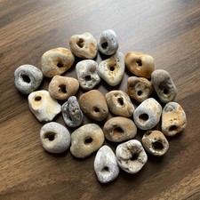 Twenty natural hag stones - twenty,