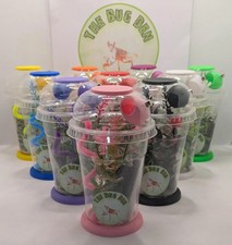 Jumping spider starter cup. Jumping spider enclosure. Plus optional base plate