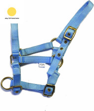 Nylon Foal Headcollar - Baby