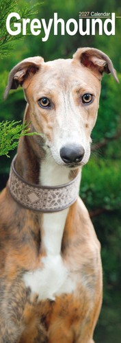Greyhound slim 2027 - greyhound,