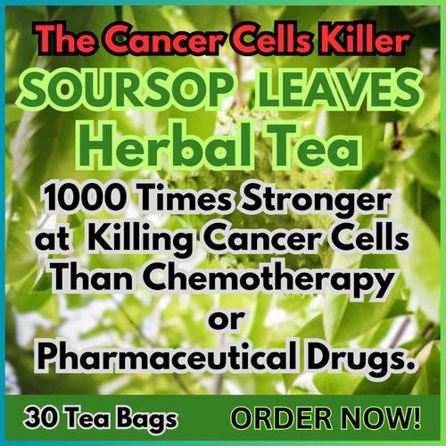 Organic soursop leaves herbal - organic,