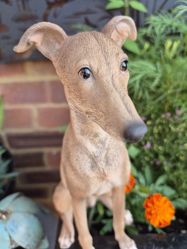 Whippet dog ornament resin - dog,