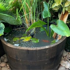 Small watertight oak - watertight,