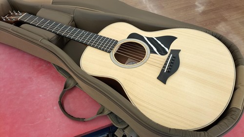 Taylor mini acoustic guitar - mini,