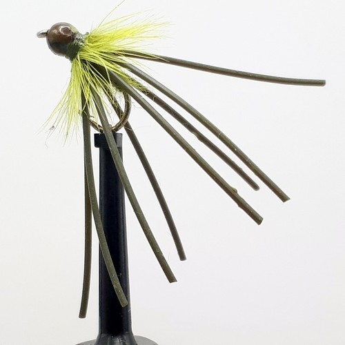 Olive bead octopus - 3, x