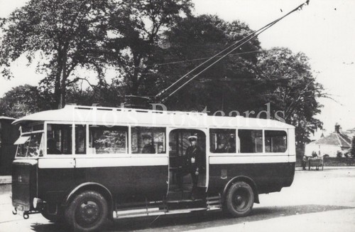 Road transport photo - road,