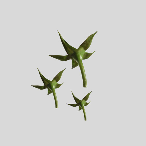 Fmm rose calyx cutter - cutter, 3pc