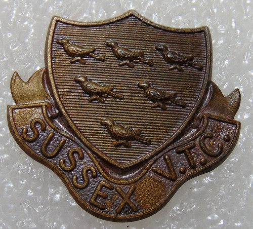 Sussex volunteer training - sussex,