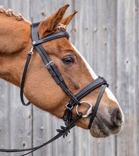 horse bridle english