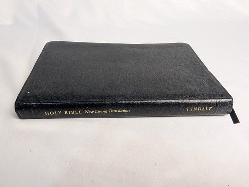 Holy bible new - holy,