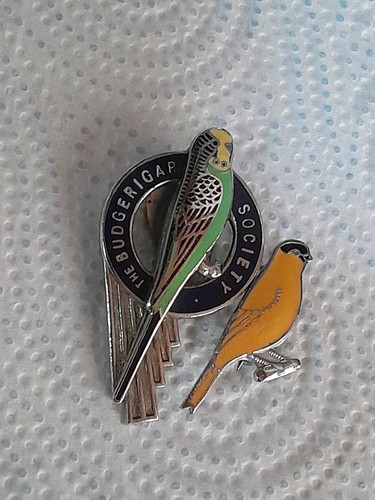 Vintage the budgerigars - vintage,