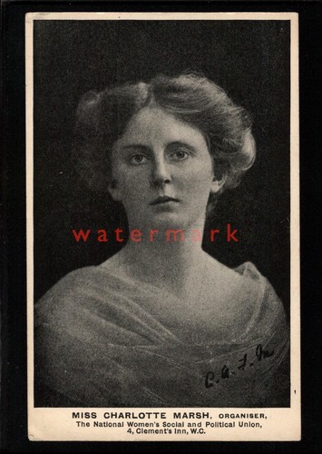 Suffragette miss charlotte - suffragette,