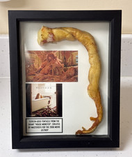 Screen used Tentacle from 2006 Slither horror movie prop James Gunn