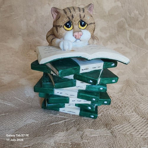 Comic curious cats book - &,