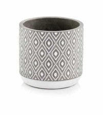 Flower Pot Medium Large Plant