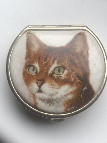 Pill box cat pussycat - cat,