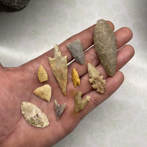 Mlc s8395 neolithic - s8395, (10)