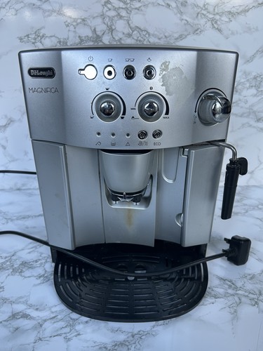 Longhi magnifica bean - magnifica,