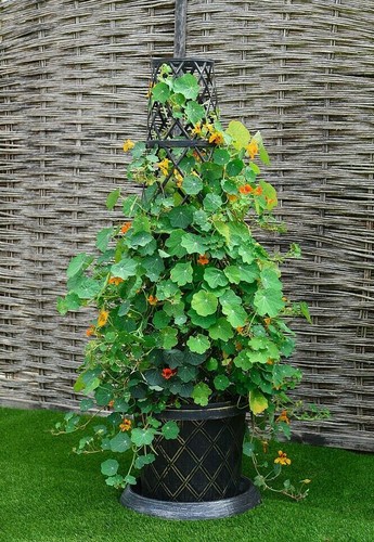 Plastic tower pot garden - pot,
