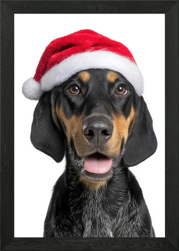 Black and tan coonhound dog - black,