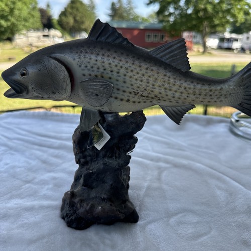 Very cool vintage - very, trout