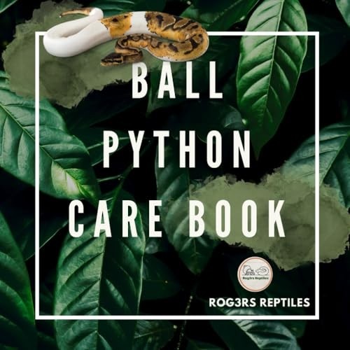 The beginner ball python - beginner's,