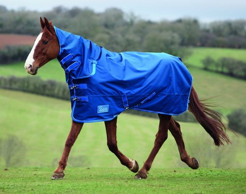 Shires tempest lite - shires,