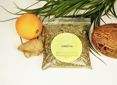 Horsetail dried herb - dried, tea