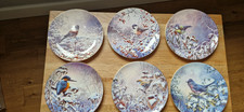 wedgwood bird plates, very